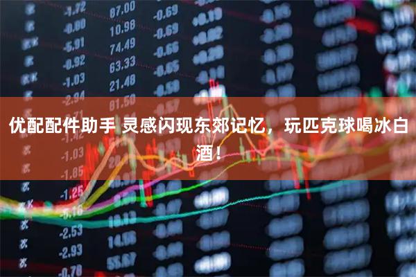 优配配件助手 灵感闪现东郊记忆，玩匹克球喝冰白酒！