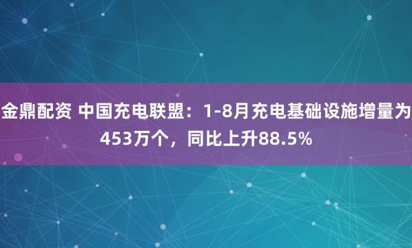 金鼎配资 中国充电联盟：1-8月充电基础设施增量为453万个，同比上升88.5%