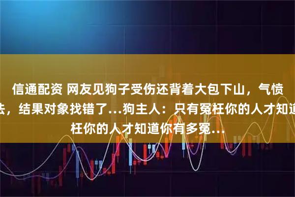 信通配资 网友见狗子受伤还背着大包下山，气愤找主人要说法，结果对象找错了…狗主人：只有冤枉你的人才知道你有多冤…