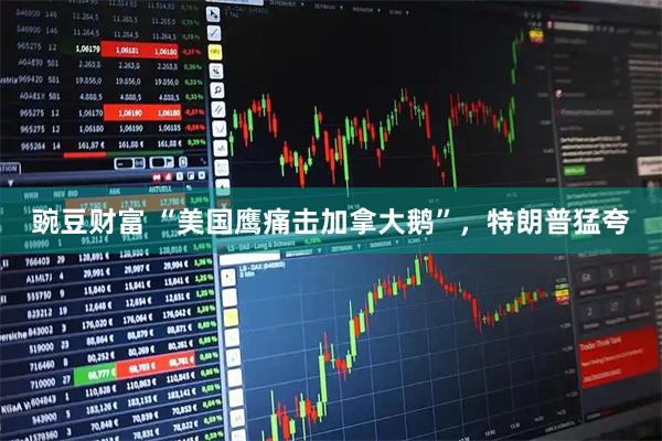豌豆财富 “美国鹰痛击加拿大鹅”，特朗普猛夸