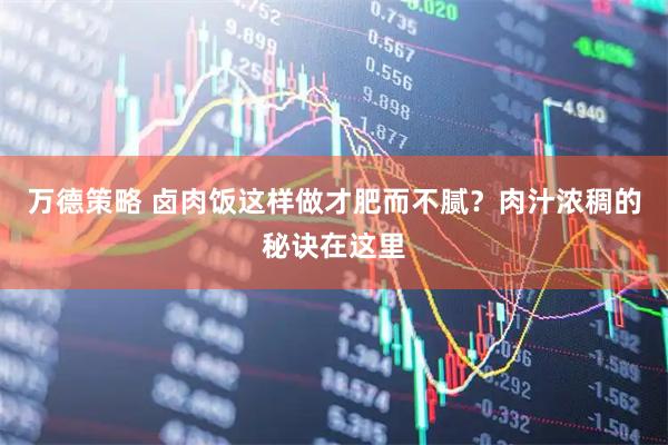 万德策略 卤肉饭这样做才肥而不腻？肉汁浓稠的秘诀在这里