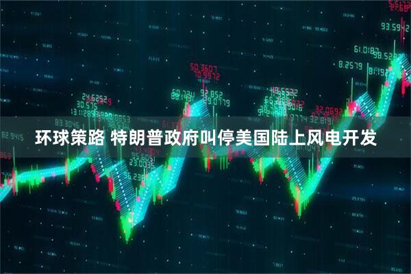 环球策路 特朗普政府叫停美国陆上风电开发