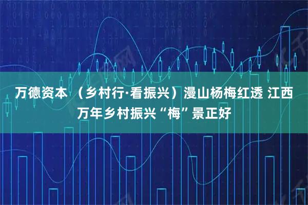 万德资本 （乡村行·看振兴）漫山杨梅红透 江西万年乡村振兴“梅”景正好